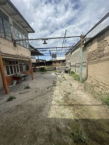 çeşqa satışı: 5 sot, Mülkiyyətçi, Kupça (Çıxarış) — 3