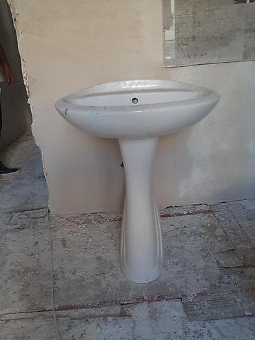Moydadırlar