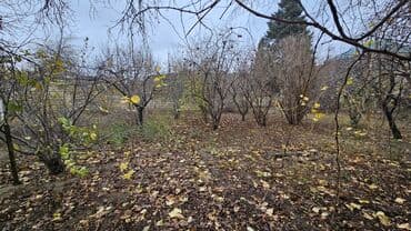 Аренда участков: 3 соток, Для строительства, Бялядия (муниципалитет) — 1