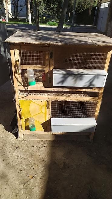 qəfəs satışı: Qəfəs satılır qiyməti 70 manat real alıcılar endirim olacaq barter — 2