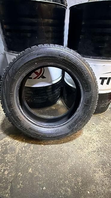 elf yag 5.30: Şin 215 / 60 / R 17 — 4