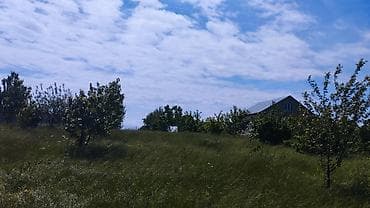 продажа дачных участков в баку: Для строительства — 5