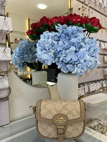 Ювелирные изделия: Сумка на плечо, Coach — 1