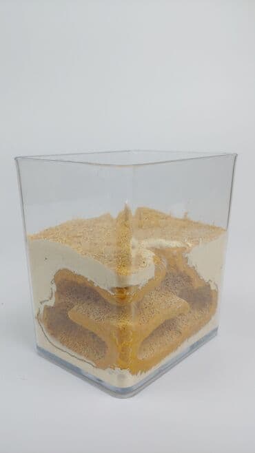 it üçün ev: Hər ölçüdə hər dizaynda qarışqa yuvaları yığılır səliqəli və təmiz — 15