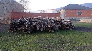 Taxta şalban və dirəklər - Məhsul: müxtəlif ölçülü taxta şalbanlar