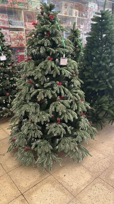 sam agaci: YENI IL YOLKALARI HƏR ÇÜR ÇEŞİDLƏR VAR kreditle tək şəxsiyyət — 1