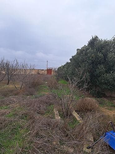 kohnə tikili: 50 sot, Tikinti, Mülkiyyətçi, Müqavilə — 5