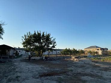 50 sot, Tikinti, Maklerlər narahat etməsin, Kupça (Çıxarış), Bələdiyyə — 6