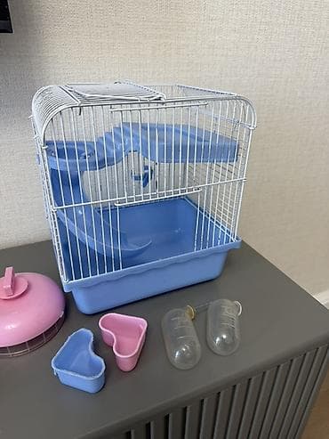 bala it: Kiçik gəmiricilər (hamster, siçança və s.) üçün uyğun, daxili yollar — 4