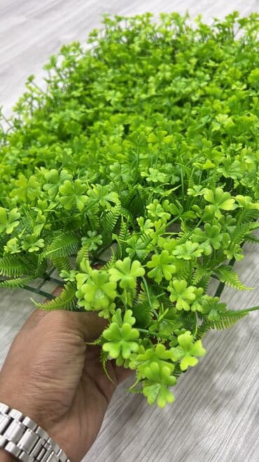 линолеум баку цена: Qi̇ymətlər 10 azn başlayir depodan bir başa satiş suni̇ qazonlar — 7