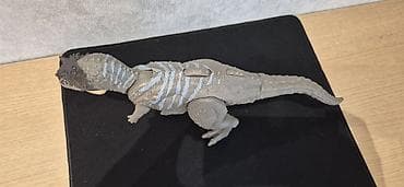 Təmizlik xidmətləri: Oyuncaqlar — 4