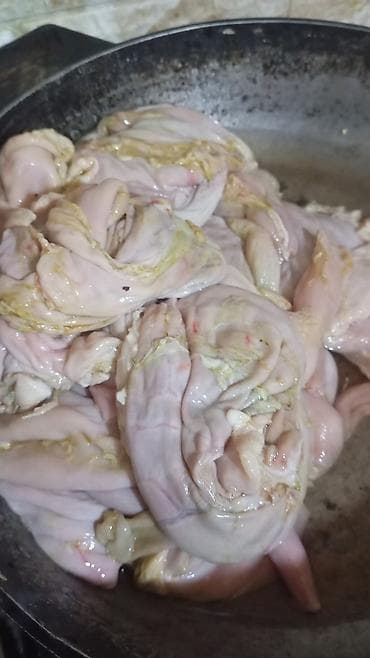 Quzu qursağı lalafo.az -da Quzu qursağı