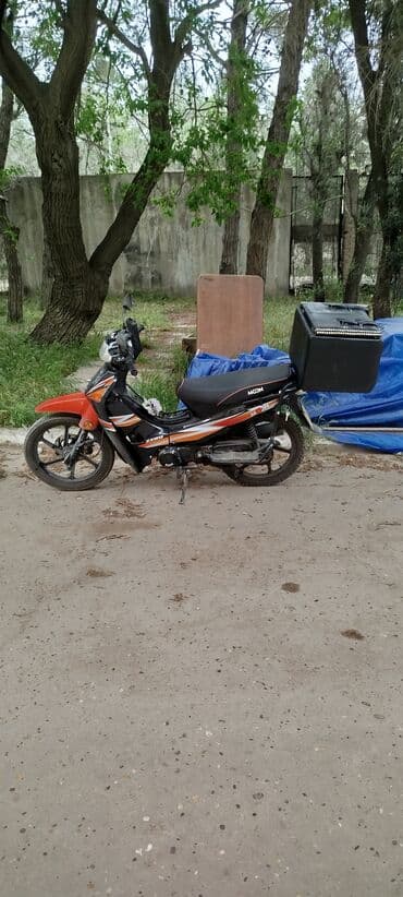 moon af50: Moon brand - Bull panel, 35660 km — 1