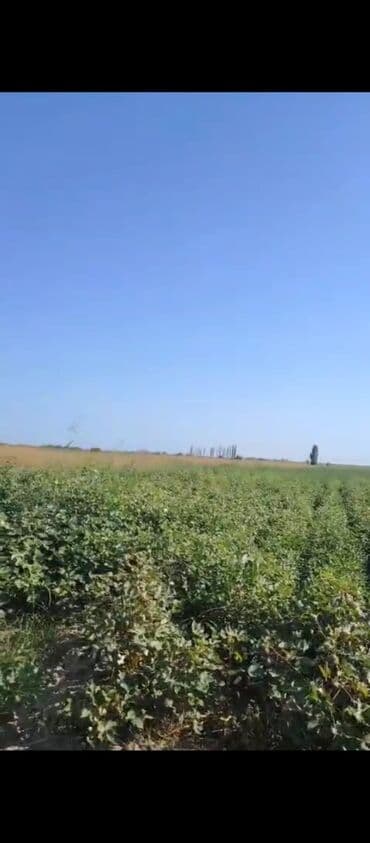 İnformatika: Kənd təsərrüfatı — 2