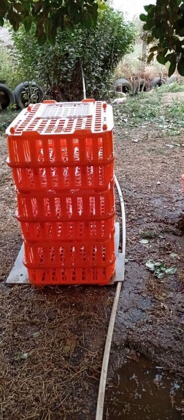 Təcili satılır.6 ədədi 240manat