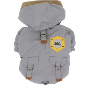 отдам в добрые руки щенка баку 2019: 1 il, Erkek — 5