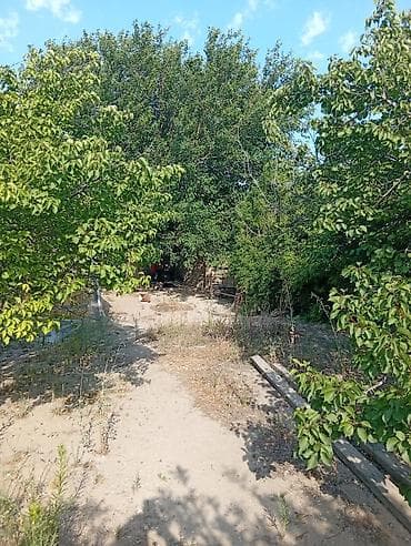 zigda heyet evi: Dübəndi 5 otaqlı, 1200 kv. m — 8