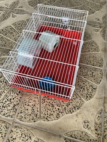 quw qefesi: Merdekan, • Xomyak Qefesi, • Içinde balaca evi yemek qabi ve çarxi — 6