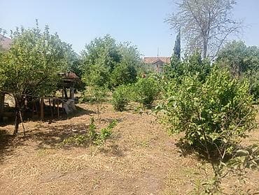turkanda torpaq satılır: 10 sot, Tikinti, Mülkiyyətçi — 4