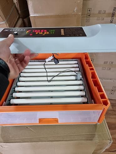 ınqbator: Çin, Fabrik istehsalı, Tam avtomat, Bütün növ quşlaq üçün — 8