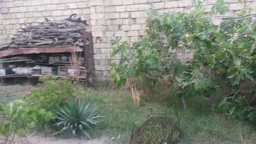 dübəndi torpaq: 10 sot, Tikinti, Makler, Kupça (Çıxarış) — 7