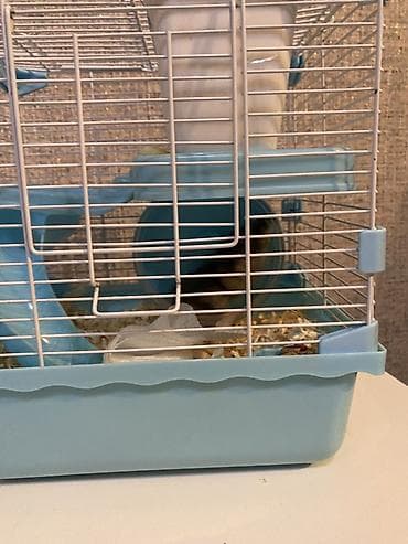 Akvariumlar: Hamster üçün tam dəst qəfəs - Rəng: açıq mavi altlıq, ağ metal — 2