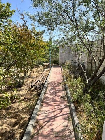 домики в набране снять: Bakı, Qala qəs., 150 kv. m, 6 otaqlı, Hovuzlu, Su, Kanalizasiya, Qaz — 6