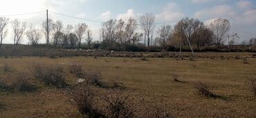 samuxda torpaq satilir: 6 sot, Maklerlər narahat etməsin, Kupça (Çıxarış) — 3