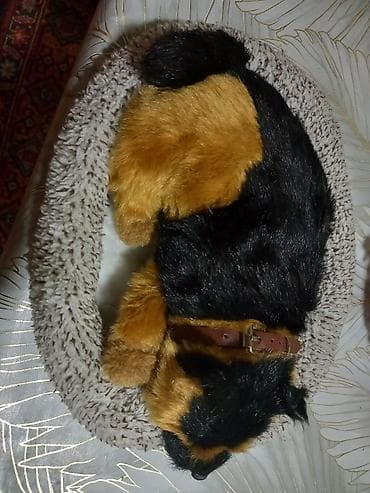 yolka oyuncagi: Fiqur, rəng - Qəhvəyi — 1