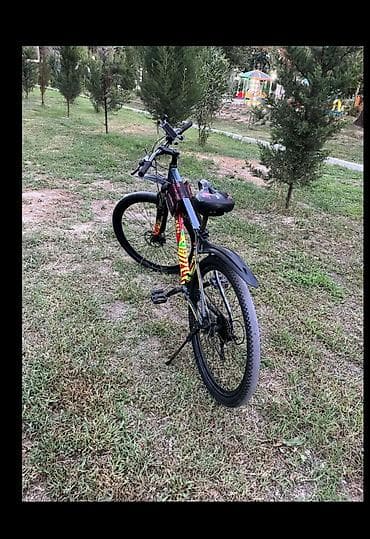 İdman velosipedləri: MTB tipli velosiped - Çərçivə: yüngül alaşımlı MTB çərçivə, parlaq — 5