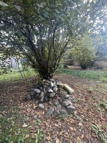 fatmayı torpaq: 10 sot, Mülkiyyətçi, Kupça (Çıxarış) — 4