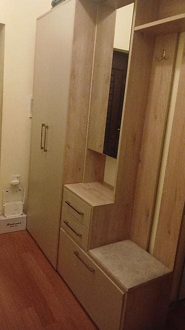 Dəhliz dolabları: Yeni, 2 qapılı, Güzgülü, Açılan, Düz dolab — 1