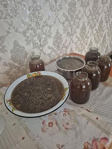 bal qiymetleri: Aran regionunun təbii arı balı kəsimi bitdi və satış başladı.Tam təbii — 2