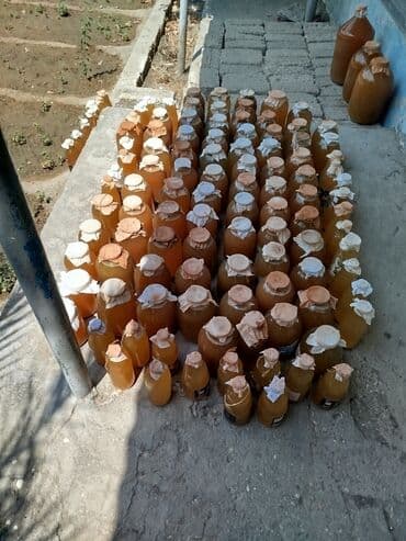 su cəni qoşqu: Təbii bakı abgorasi — 4