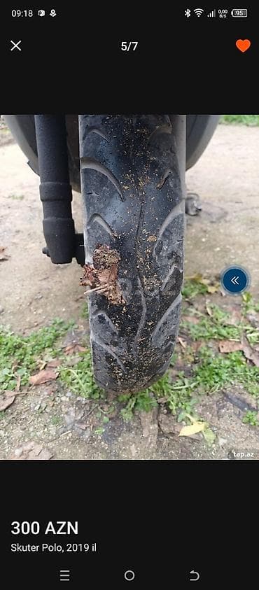 mapedlər: - Polo, 2019 il — 2