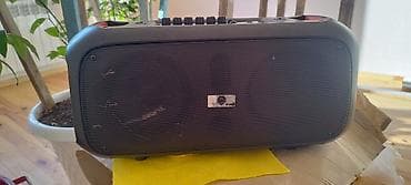 Mikrofonlar: Portativ musiqi kolonkası – MP3 Digital Player paneli ilə — 3