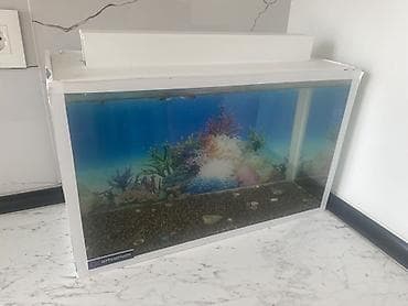 akvarium satilir: Dördbucaq akvarium, Balıqlarla birlikdə, 15 l, Ünvandan götürmə — 1