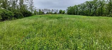 torpag satisi: 20 sot, Tikinti, Mülkiyyətçi, Kupça (Çıxarış) — 10