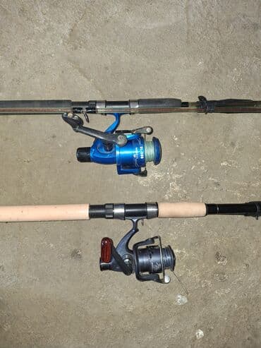 математика 2 класс азербайджан 1 часть: Biri trosludur.O biridə delfin firmasınındı təmiz karbondu qəşəy — 1