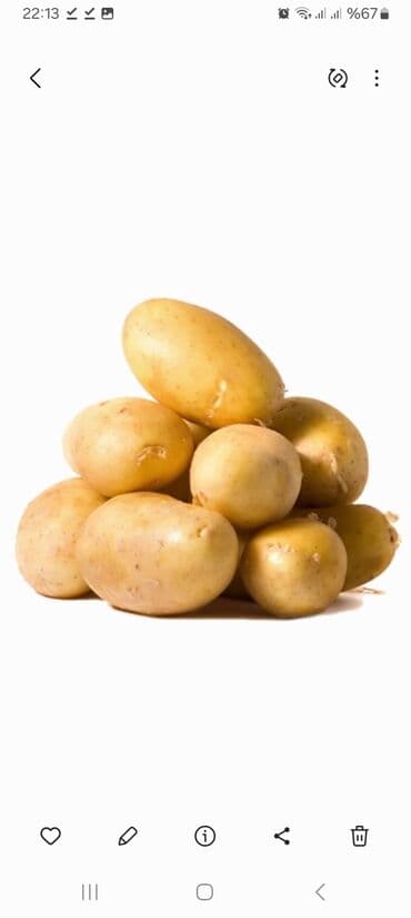 iran peçleri işlenmiş: Məhsul: Təzə kartof Təsvir: GEDEBEY KARTOFU - Sarı qabıqlı, hamar — 1