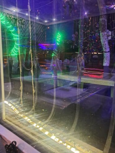 LED işıq lentləri – dekorativ və funksional işıqlandırma Məhsulun