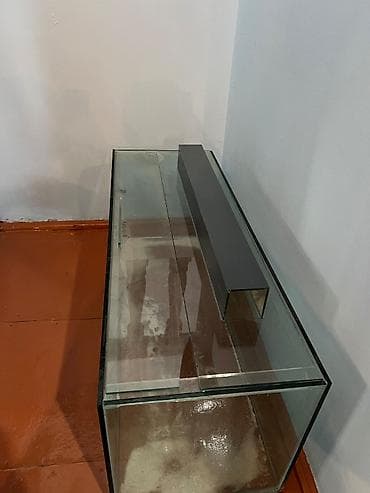 ay: Dördbucaq akvarium, Balıqlarla birlikdə, 145 l — 3