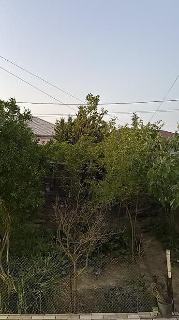 sabunçuda evlər: Sarayda 3 nömrəli məktəbə yaxın ərazidə 3 otaqlı əşyalı ev kirayə — 10