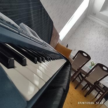 elekt: Korg Pa800 aranjiman sintezator - Model: Korg Pa800 (etiketdə — 2