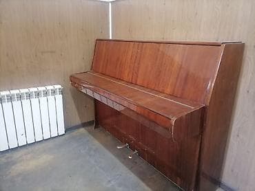 İdman və istirahət: Piano, Akustik — 2