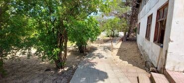 kiridit ev: Sahəsi geniş, yaşıllaşdırılmış həyəti olan bina. Həyətdə ağaclar — 1