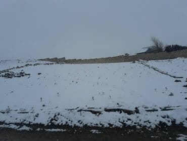 xoçəsən: 8 sot, Tikinti, Mülkiyyətçi, Kupça (Çıxarış) — 1