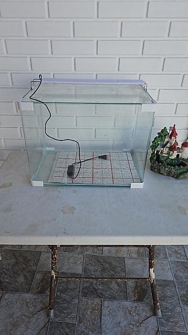 heyvan alqi satqisi: Dördbucaq akvarium, 50 l — 1