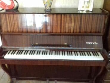 пионина: Пианино, Takamine, Акустический, Б/у, Платная доставка — 1