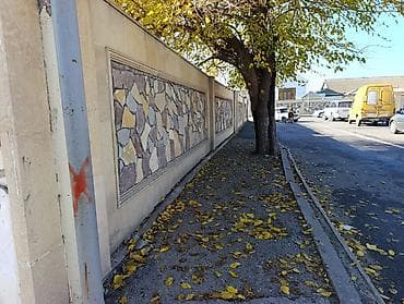 Biznes üçün — 2